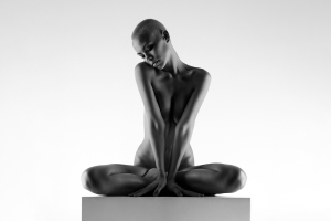 Salon Honorable Mention